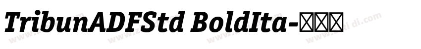TribunADFStd BoldIta字体转换 TribunADFStd BoldIta字体转换